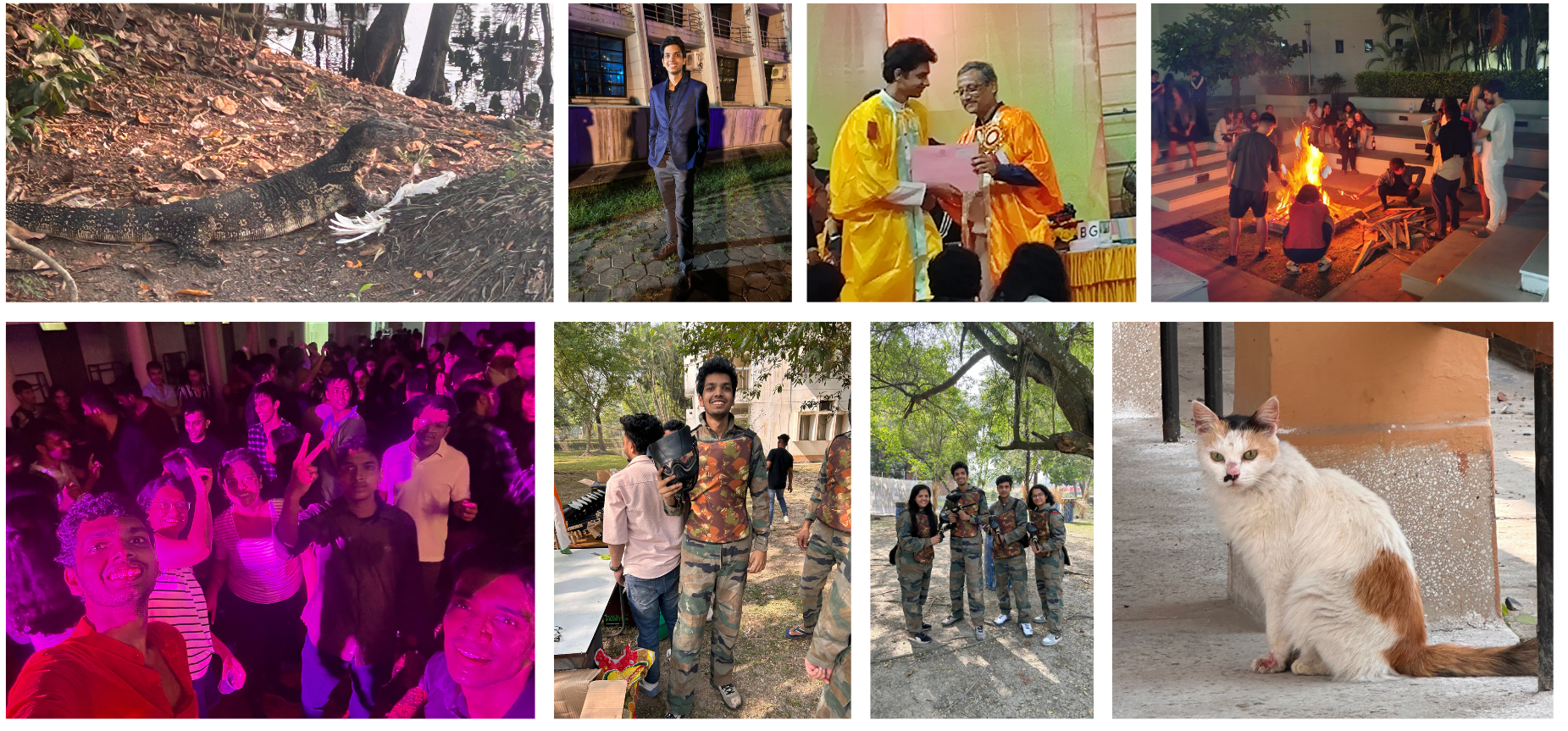 <figcaption>I miss hitler the cat plus your daily dose of animal planet with the monty tearing a bird apart </figcaption>